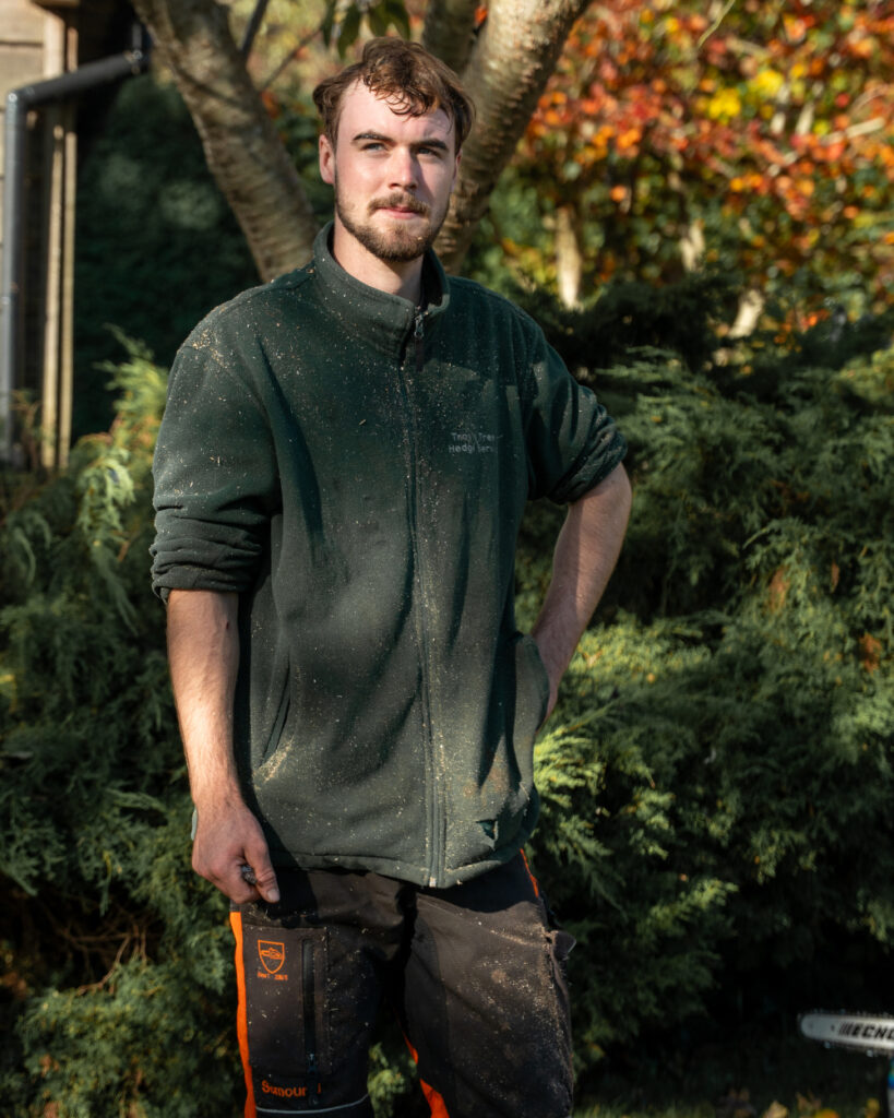 tree maintenance service in Crowborough