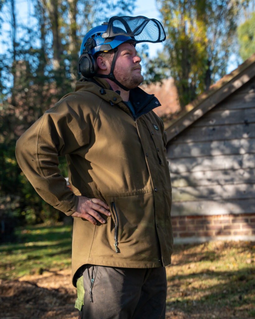 Tree Maintenance Service in Uckfield