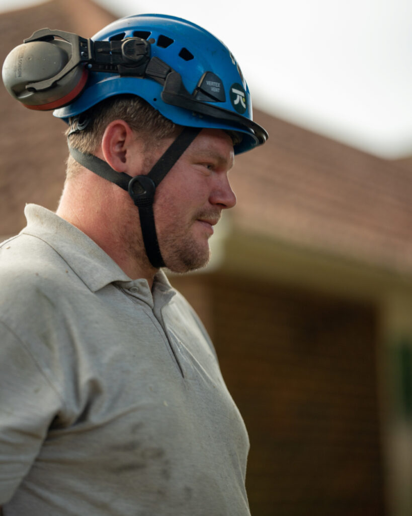 What Happens During a Professional Tree Removal? Step-by-Step for Homeowners