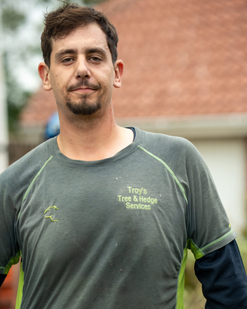 tree maintenance service in Crowborough