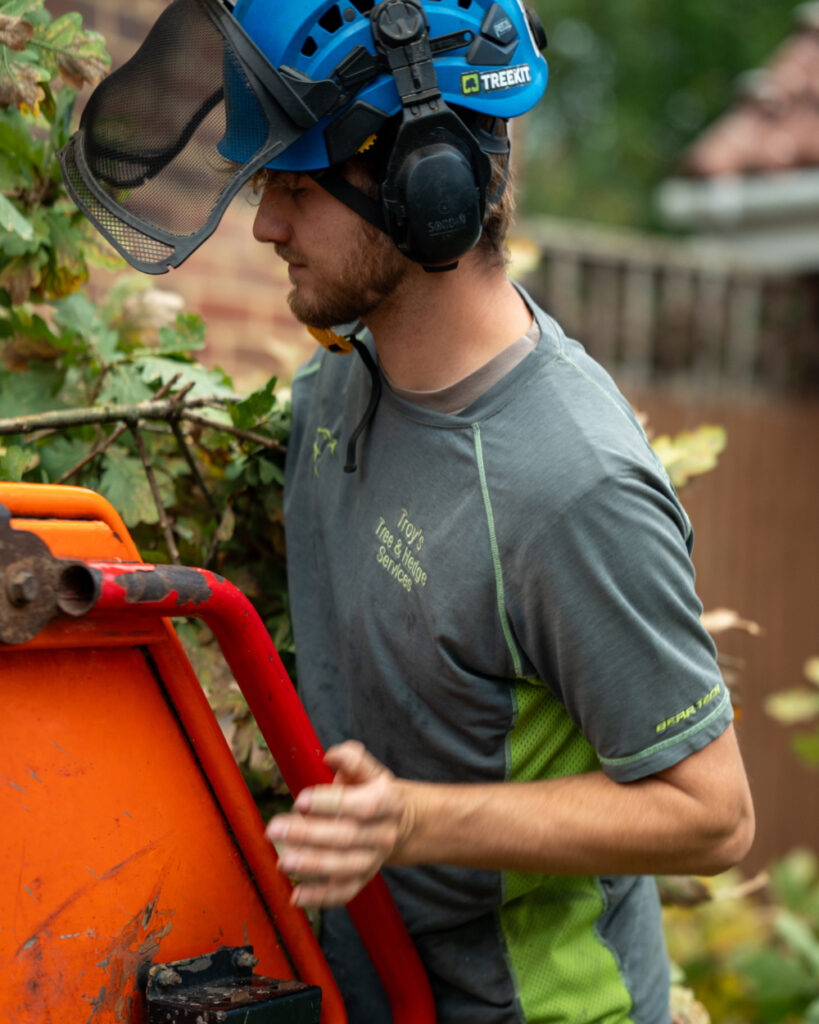 Tree Maintenance Service in Uckfield